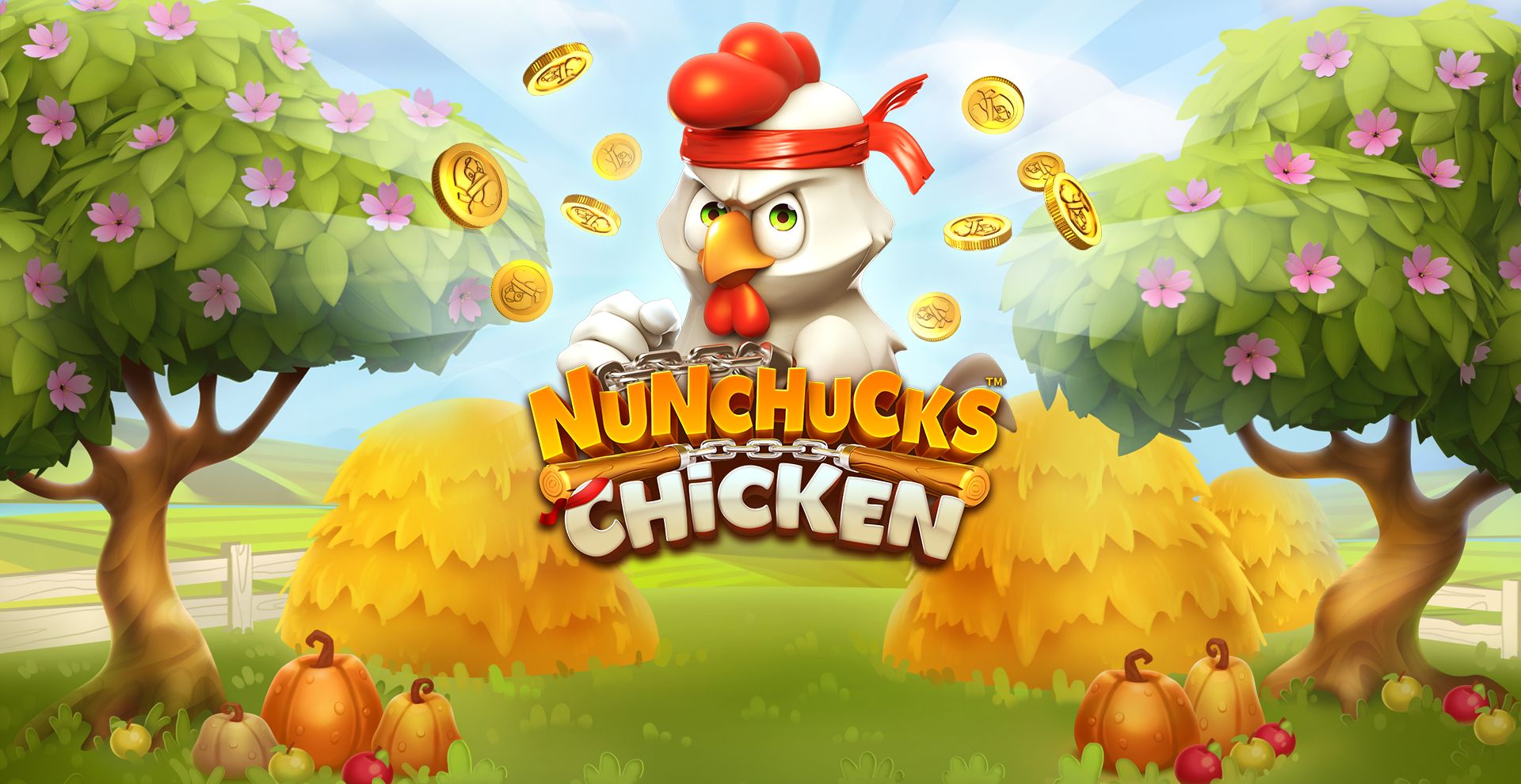 Nunchucks Chicken