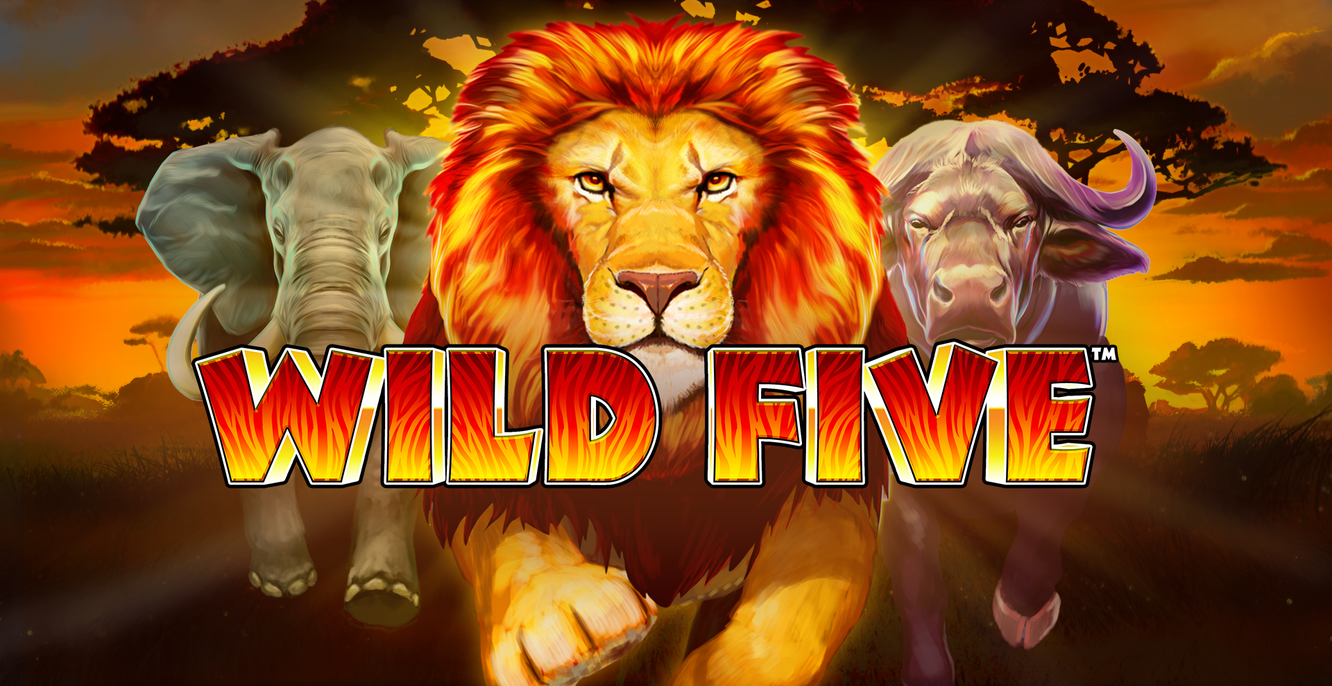 Wild Five