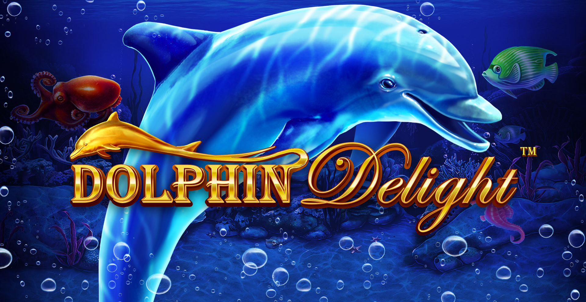 Dolphin Delight