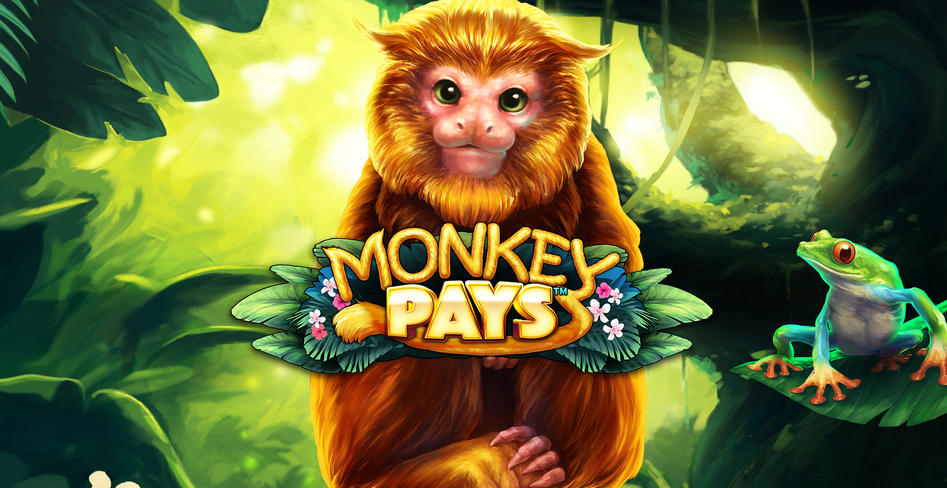 Monkey Pays