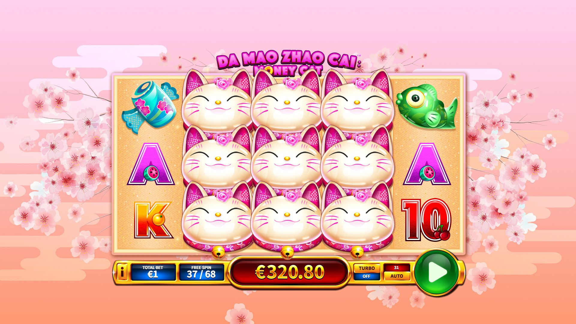 Money Cat Free Games
