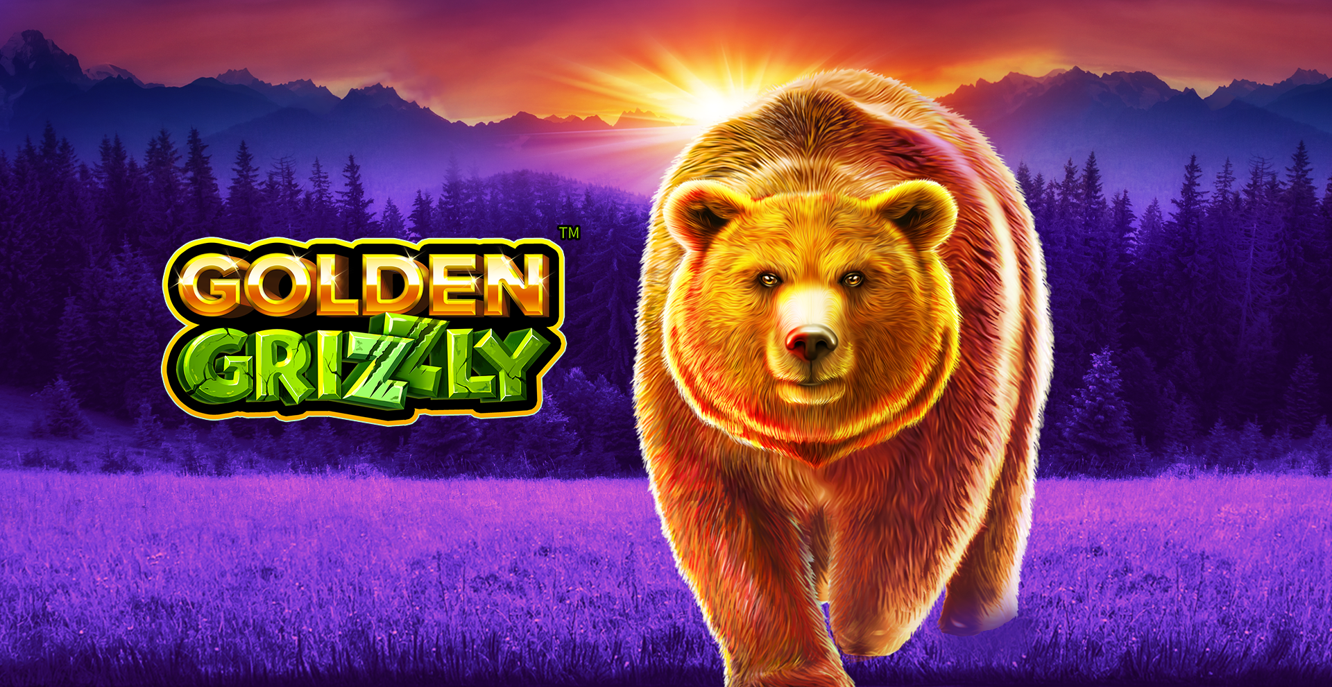 Golden Grizzly