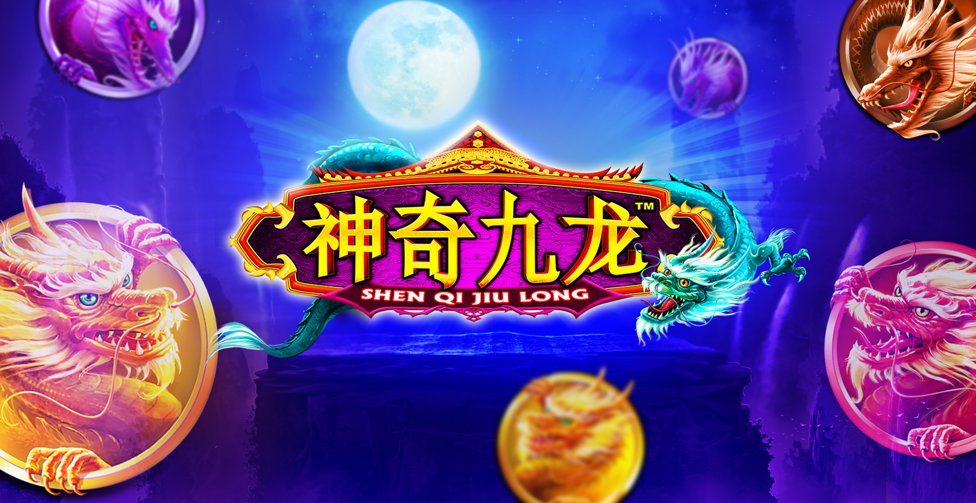 Shen Qi Jiu Long